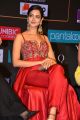 Actress Shanvi Srivastava Photos @ SIIMA Awards 2019 Press Meet
