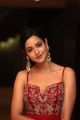 Actress Shanvi Srivastava Photos @ SIIMA Awards 2019 Curtain Raiser