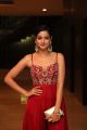 Actress Shanvi Srivastava Photos @ SIIMA Awards 2019 Press Meet