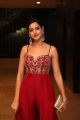 Actress Shanvi Srivastava Photos @ SIIMA Awards 2019 Curtain Raiser