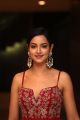 Actress Shanvi Srivastava Photos @ SIIMA Awards 2019 Press Meet