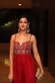 Actress Shanvi Photos @ SIIMA Awards 2019 Press Meet