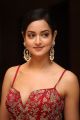 Actress Shanvi Photos @ SIIMA Awards 2019 Press Meet