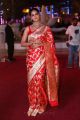 Actress Shanvi Srivastava Saree Pics @ SIIMA Awards 2018 Red Carpet (Day 1)