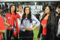 Sharjah CCL 2012 Match Day1 Pictures