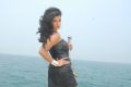Kevvu Keka Heroine Sharmila Mandre Hot Stills