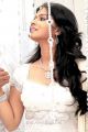 Mirattal Movie Heroine Sharmila Mandre New Stills