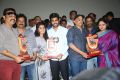 Shatamanam Bhavati Platinum Disc Function Stills