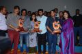 Shatamanam Bhavati Platinum Disc Function Stills