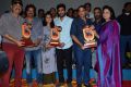 Shatamanam Bhavati Platinum Disc Function Stills