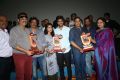 Shatamanam Bhavati Platinum Disc Function Stills