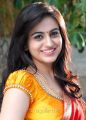 Actress Aksha Pardasany Hot Photos in Shatruvu