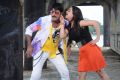 Srikanth, Aksha in Shatruvu Movie Photos