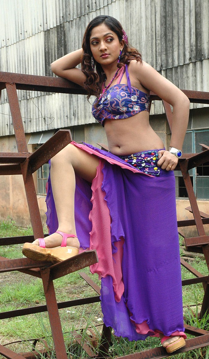Picture 246417 Sheela Telugu Actress Hot Photos New