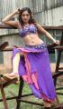 Sheela Telugu Actress Hot Photos