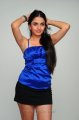 Sheena Telugu Actress Hot Pics