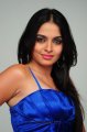 Sheena Shahabadi Hot in Blue Dress