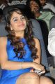 Sheena Shahabadi New Hot Pics at Action Music Release