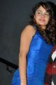 Sheena Shahabadi Hot Pictures at Action 3D Audio Release
