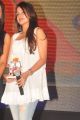 Sheena Shahabadi Hot Images at Action 3D Gummadikaya Function