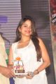 Sheena Shahabadi Hot Images at Action 3D Gummadikaya Function