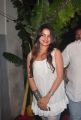 Sheena Shahabadi Hot Images at Action 3D Gummadikaya Function