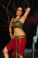 Sheena Shahabadi Hot Stills in Nandeeswarudu