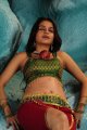 Sheena Shahabadi Hot in Nandeeswarudu