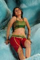 Sheena Shahabadi Hot Stills in Nandeeswarudu