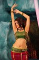 Sheena Shahabadi Hot in Nandeeswarudu