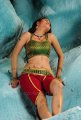 Sheena Shahabadi Hot in Nandeeswarudu