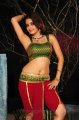 Sheena Shahabadi Hot Photos in Nandeeswarudu