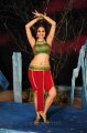 Sheena Shahabadi Hot in Nandeeswarudu