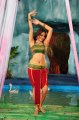 Sheena Shahabadi Hot Stills in Nandeeswarudu