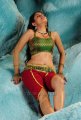 Sheena Shahabadi Hot Stills in Nandeeswarudu