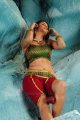 Sheena Shahabadi Hot Stills in Nandeeswarudu