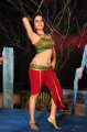 Sheena Shahabadi Hot in Nandeeswarudu