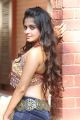 Actress Sheena Shahabadi Hot Tight Jeans Photos