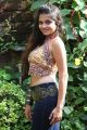 Actress Sheena Shahabadi Hot in Tight Jeans Photos