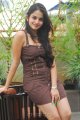 Sheena Shahabadi Latest Hot Pics