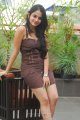 Sheena Shahabadi Latest Hot Pics