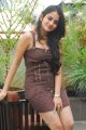 Sheena Shahabadi Latest Hot Pics