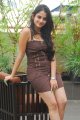 Sheena Shahabadi Latest Hot Pics