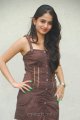 Sheena Shahabadi Latest Hot Pics