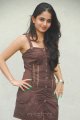 Sheena Shahabadi Latest Hot Pics