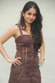 Sheena Shahabadi Latest Hot Pics