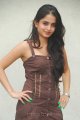 Sheena Shahabadi Latest Hot Pics