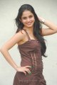 Sheena Shahabadi Latest Hot Pics