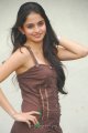 Sheena Shahabadi Latest Hot Pics