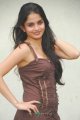 Sheena Shahabadi Latest Hot Pics